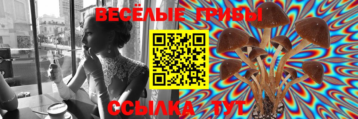 Псилоцибиновые грибы ЛСД Красноярск